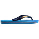 Havaianas Brasil Logo